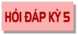 Vị trí, vai trò, trách nhiệm, quyền của đại biểu HĐND được quy định ra sao?