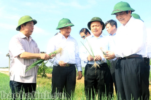 Hà Tĩnh năng động, sáng tạo trong phát triển kinh tế, thu hút đầu tư ảnh 4