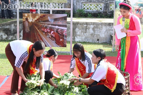 Sôi nổi Hội thi Nông thôn ngày mới ảnh 5