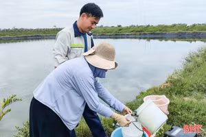Ngành chuyên môn khuyến cáo gì sau quan trắc các vùng nuôi tôm?