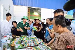 Nhân rộng chuỗi giá trị nông nghiệp hữu cơ, tuần hoàn liên kết với Quế Lâm