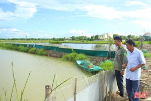 TP Hà Tĩnh chuyển đổi hơn 40 ha đất lúa kém hiệu quả 