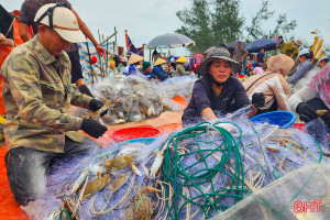 Trúng đậm ghẹ biển, ngư dân phấn khởi vươn khơi vụ cá Bắc