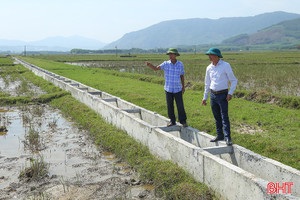 Nước tưới vụ hè thu: Lo vùng cuối kênh, cao cưỡng