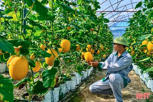 Ứng dụng khoa học - công nghệ tạo đột phá trong xây dựng nông thôn mới