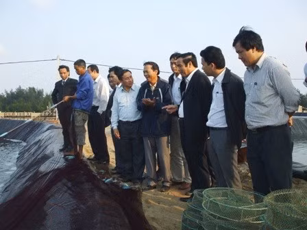 ... và thăm mô hình nuôi tôm thẻ chân trắng trên cát của ông Bùi Tùng Phong ở xã Xuân Đan