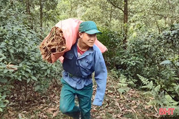 Nông dân Hương Khê sáng tạo nhiều việc làm, giúp hội viên nghèo vui Tết