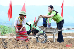 Hương Khê thí điểm mở rộng sản xuất cây hành tăm