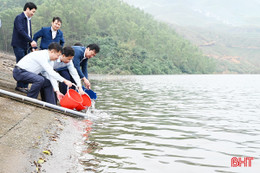 Hà Tĩnh thả hơn 80 nghìn con cá giống tái tạo nguồn lợi thủy sản