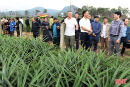 Hương Bình hỗ trợ sinh kế, hướng tới giảm nghèo bền vững