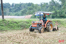 Nông dân Hương Khê sản xuất linh hoạt, bám đuổi tiến độ vụ đông