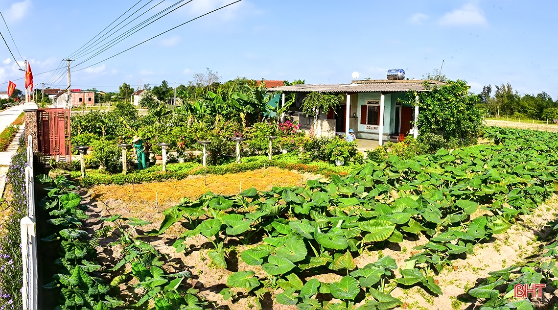 “Lạc bước” nơi miền quê đáng sống Cẩm Sơn!