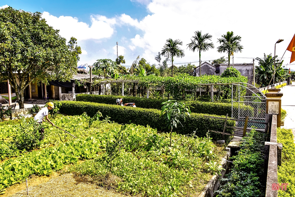 “Lạc bước” nơi miền quê đáng sống Cẩm Sơn!