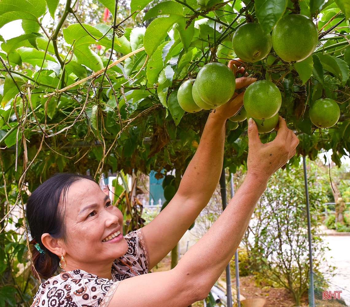 “Lạc bước” nơi miền quê đáng sống Cẩm Sơn!
