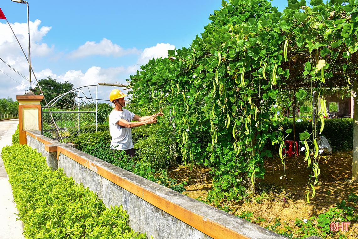“Lạc bước” nơi miền quê đáng sống Cẩm Sơn!