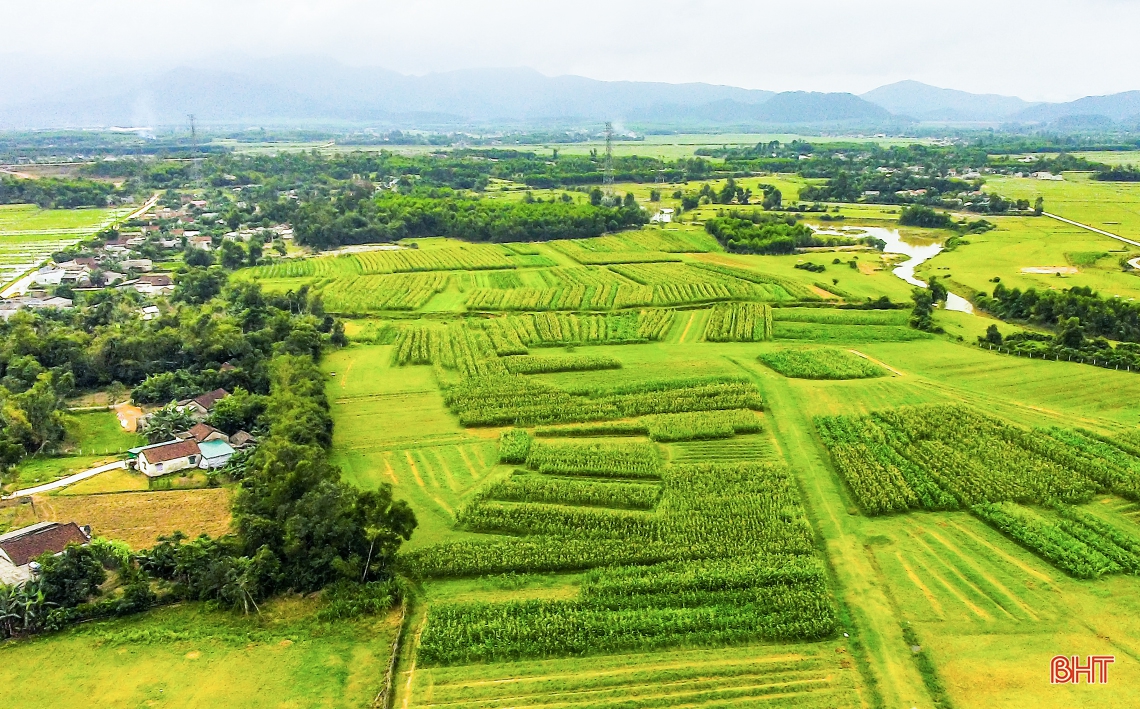 “Lạc bước” nơi miền quê đáng sống Cẩm Sơn!