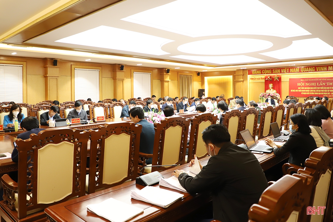Cho ý kiến ban hành các nghị quyết quan trọng phát triển kinh tế Hà Tĩnh