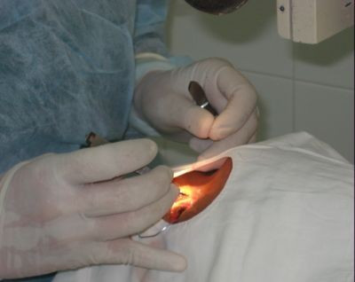 Hội nghị triển khai dự án ORBIS tại Hà Tĩnh