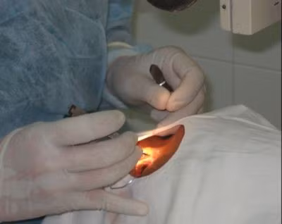 Hội nghị triển khai dự án ORBIS tại Hà Tĩnh