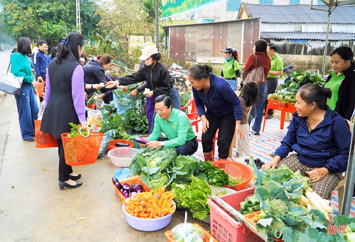 Trồng rau bán tết, nông dân phố núi Hương Khê thu lãi khá