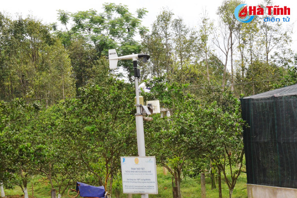 ngam khu vuon giai dac biet cuoc thi kdc kieu mau vuon mau ha tinh