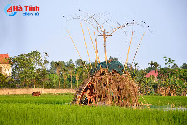 chum anh tan diet chim en lam moi nhau