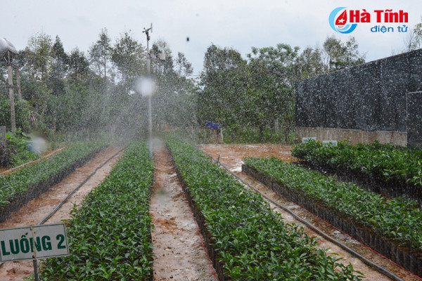 ngam khu vuon giai dac biet cuoc thi kdc kieu mau vuon mau ha tinh