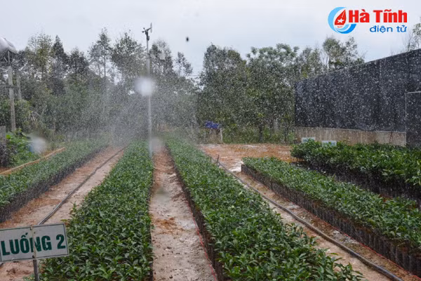 ngam khu vuon giai dac biet cuoc thi kdc kieu mau vuon mau ha tinh