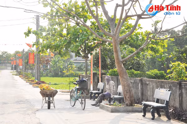 ve lang bien nghi xuan xem khu dan cu mau