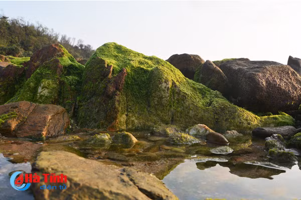 Check in bãi đá rêu xanh mê hoặc lòng người ở Kỳ Anh