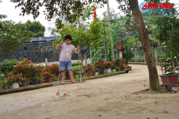 ngam khu vuon giai dac biet cuoc thi kdc kieu mau vuon mau ha tinh