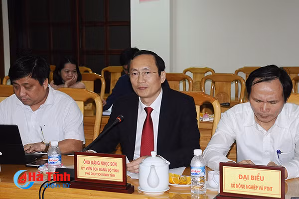 do bau ha tinh cho tram huong tot nhat the gioi