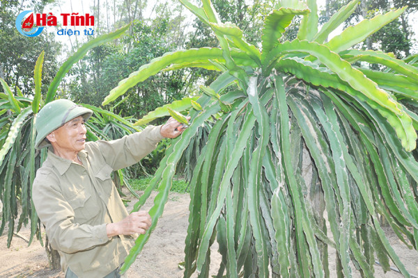 ve lang bien nghi xuan xem khu dan cu mau