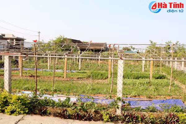 an tuong khu dan cu kieu mau o huyen ky anh