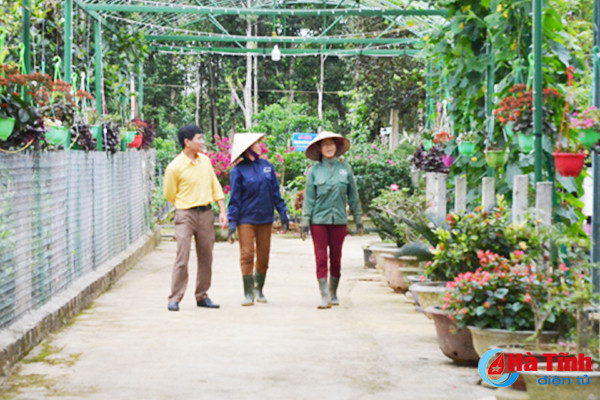 ngam khu vuon giai dac biet cuoc thi kdc kieu mau vuon mau ha tinh