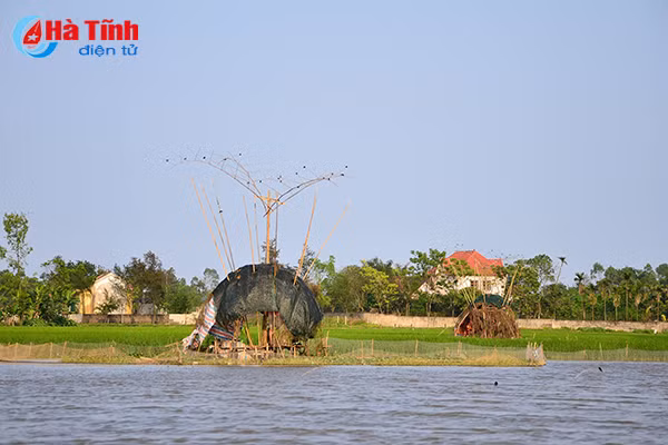 chum anh tan diet chim en lam moi nhau