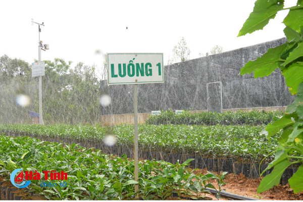 ngam khu vuon giai dac biet cuoc thi kdc kieu mau vuon mau ha tinh