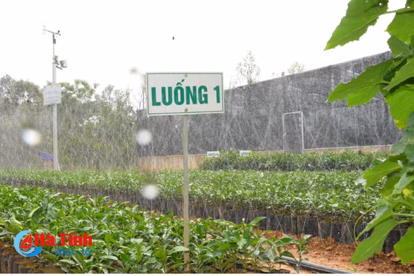 ngam khu vuon giai dac biet cuoc thi kdc kieu mau vuon mau ha tinh