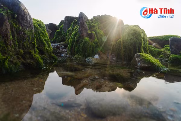 Check in bãi đá rêu xanh mê hoặc lòng người ở Kỳ Anh