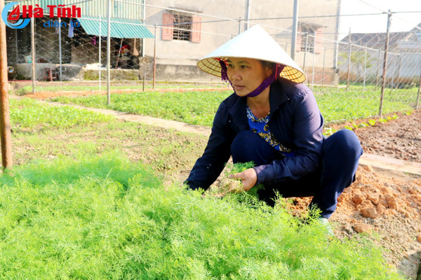 an tuong khu dan cu kieu mau o huyen ky anh