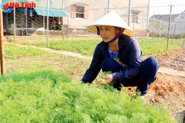an tuong khu dan cu kieu mau o huyen ky anh