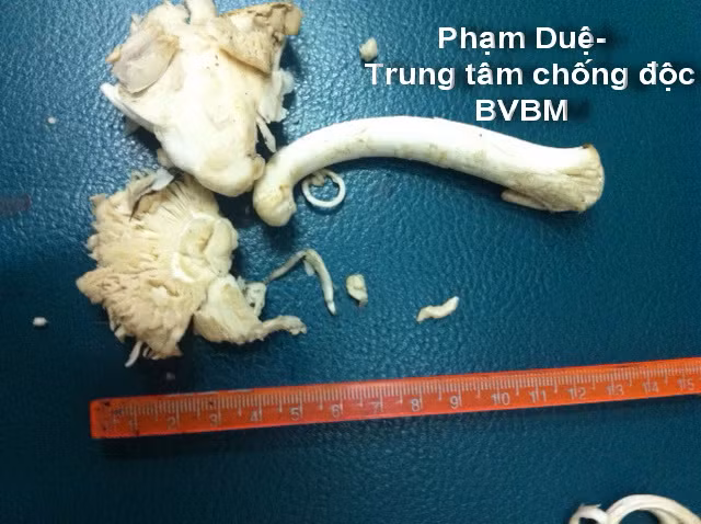 an phai nam doc lam gi de khong tu vong