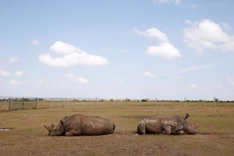 anh the gioi an tuong nhat thang 3