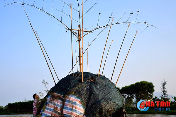 chum anh tan diet chim en lam moi nhau