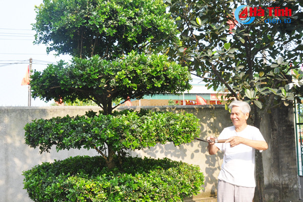 ve lang bien nghi xuan xem khu dan cu mau