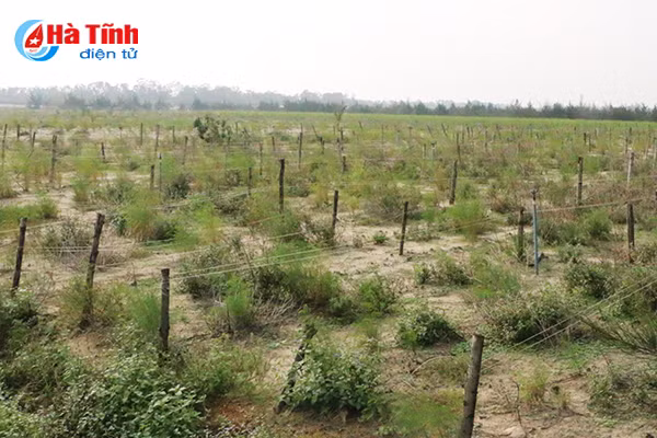 dung mo sat thach khe bai 13 chua muon de khai thac tai nguyen noi