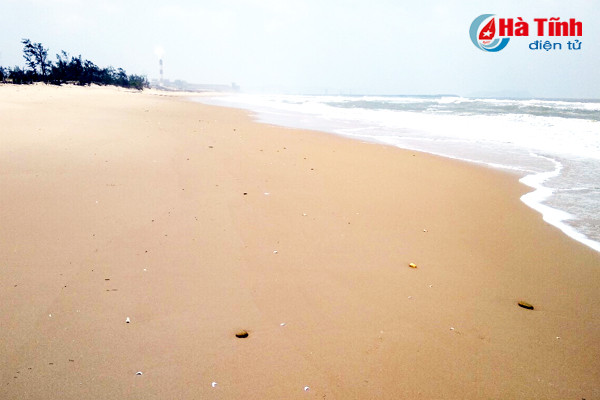 khoang 2kg ca chet o ky anh co the do no min hoac ngu dan giu luoi