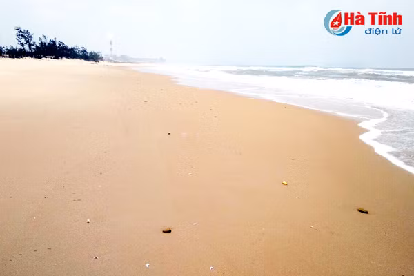 khoang 2kg ca chet o ky anh co the do no min hoac ngu dan giu luoi