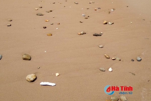 khoang 2kg ca chet o ky anh co the do no min hoac ngu dan giu luoi