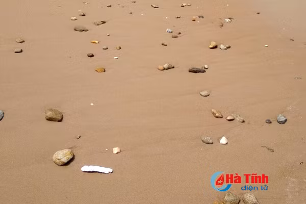 khoang 2kg ca chet o ky anh co the do no min hoac ngu dan giu luoi